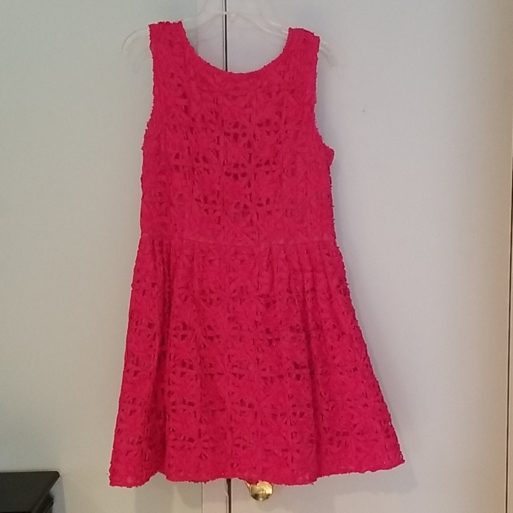 Pink Cynthia Steffe fit and flare